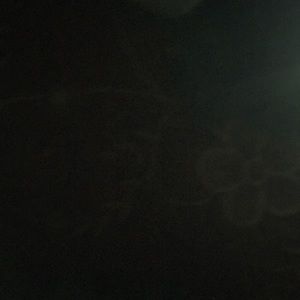 Meet your Posher, Elvia